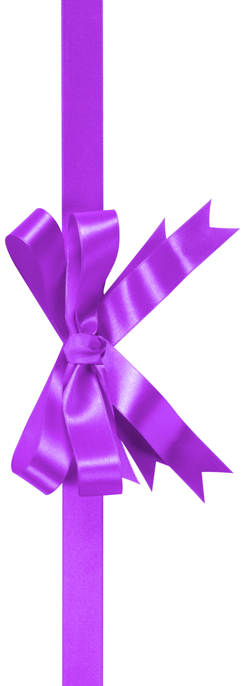 A decorative gift ribbon on the AccioPix digital voucher